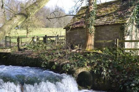 Swan Cottage Cirencester Exteriör bild